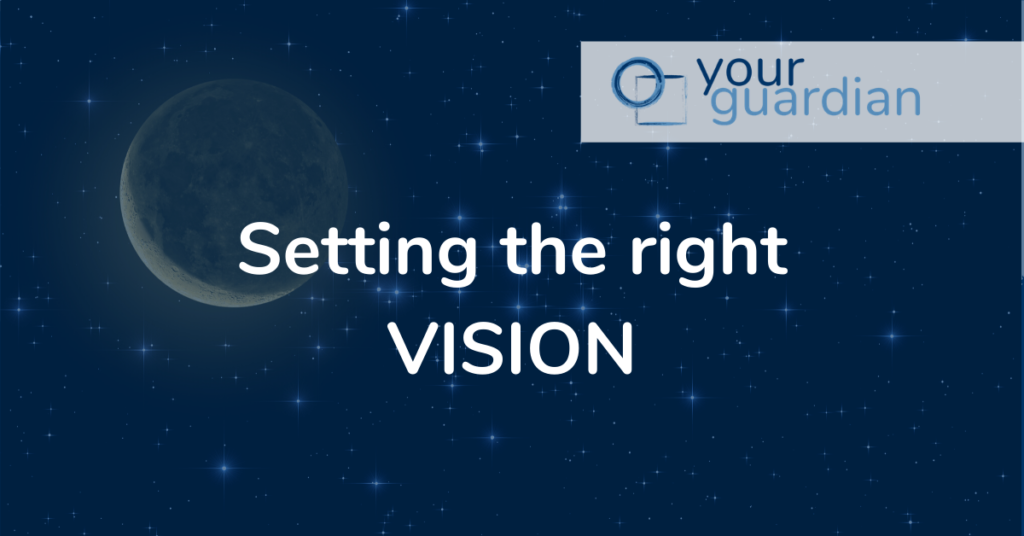 Setting the right VISION